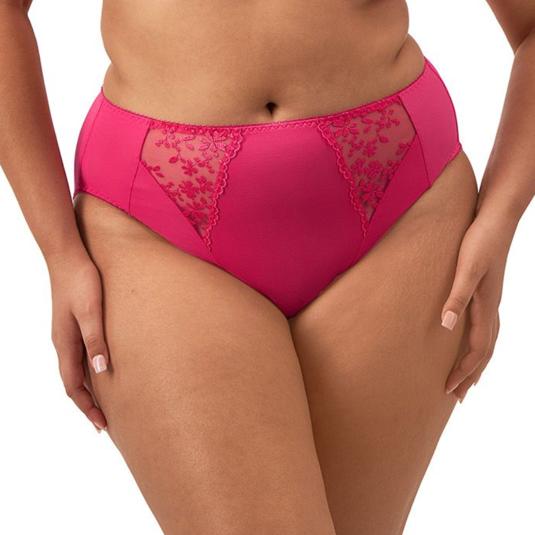 Zarla High Leg Brief