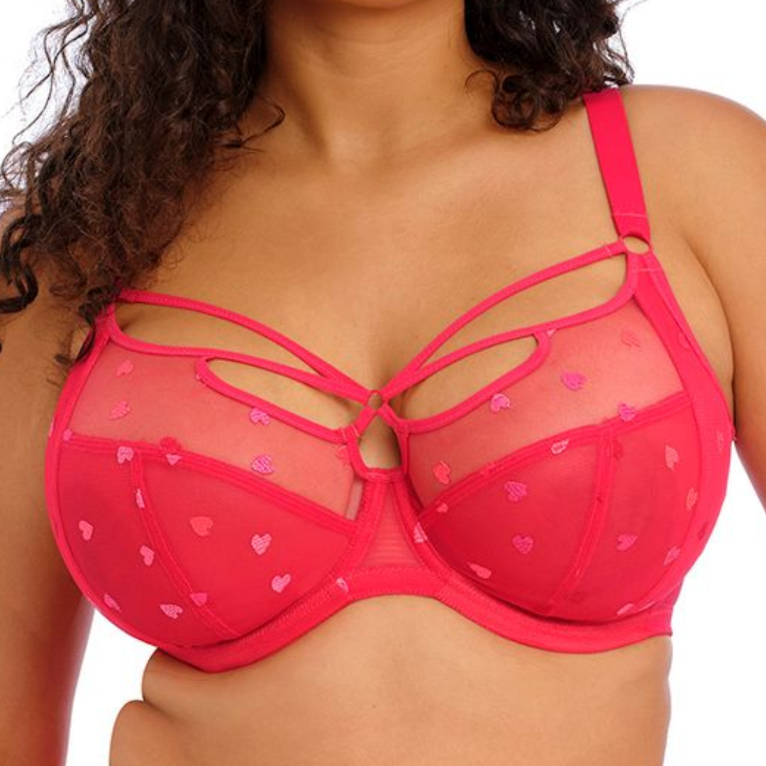 Sachi Plunge Bra